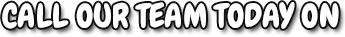 Call our team today on